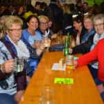 2016 FF-Fest-SA_10.JPG